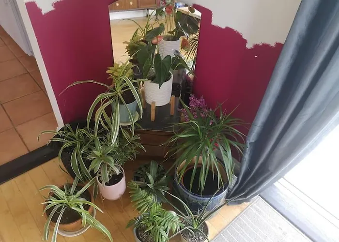 Вилла Tranquil Country Escape West Coast Adventure Awaits