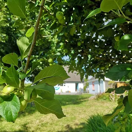 Villa Tranquil Country Escape West Coast Adventure Awaits *