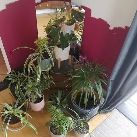 Villa Tranquil Country Escape West Coast Adventure Awaits