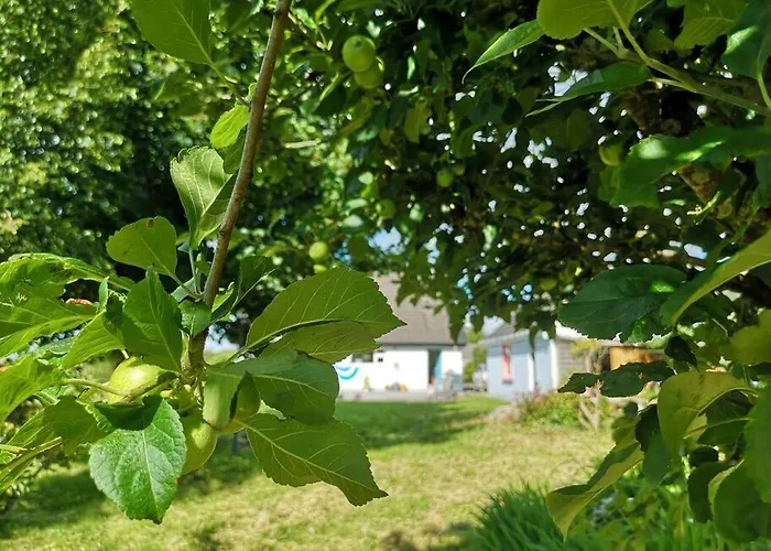 Вилла Tranquil Country Escape West Coast Adventure Awaits *