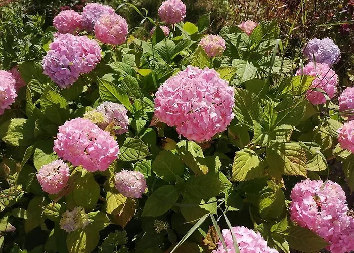 Tranquil Country Escape West Coast Adventure Awaits